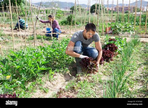 une personne travaillant dans un jardin horticole