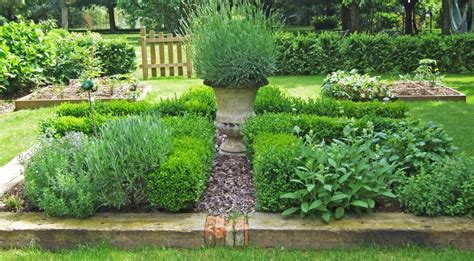 Plantes aromatiques dans un jardin