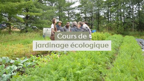 Plan de jardinage écologique