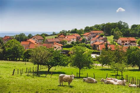 Paysage rural français avec coq et ferme