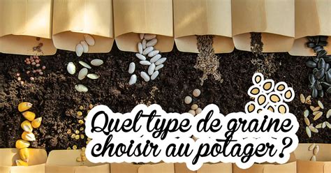 Photographie d'une collection variée de graines potagères conservées dans des sachets en papier kraft