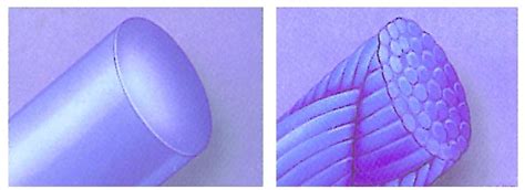 Schéma illustrant la structure des fibres monofilament droites et frisées, expliquant leur rôle dans le réalisme et la résilience du gazon synthétique.