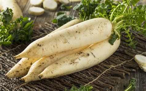 Radis Daïkon frais et entiers
