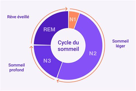 un diagramme montrant les interactions entre les cycles sédimentaires et la croissance végétale dans une zone tempérée
