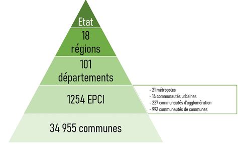 Schéma illustrant la hiérarchie sociale et le comportement territorial chez les ovins