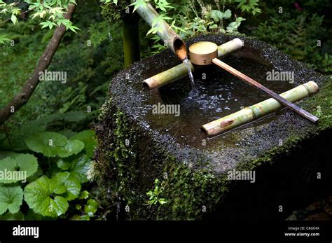 Bassin Tsukubai traditionnel avec louche en bambou