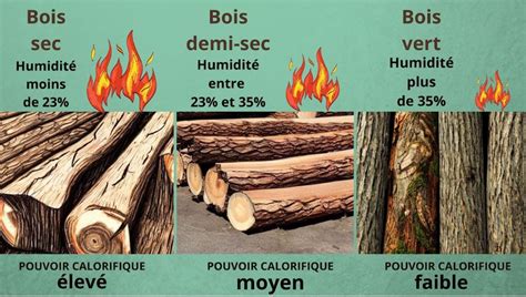 Infographie comparant les effets d'une combustion avec du bois sec versus bois humide