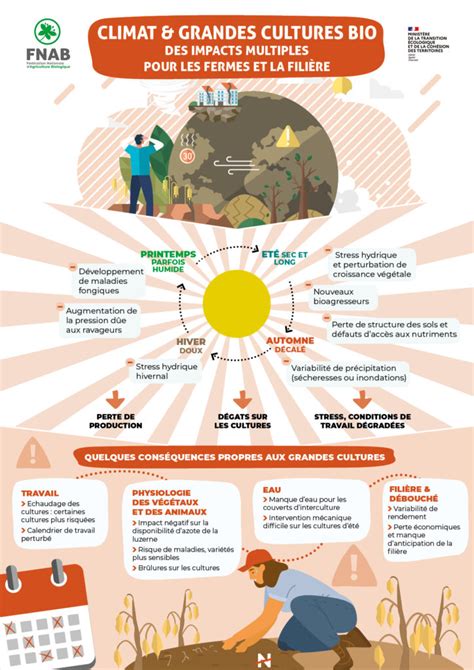 Infographie sur les principales cultures de la Somme