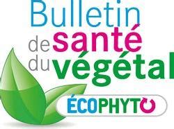 Logo du Bulletin de Santé du Végétal (BSV)