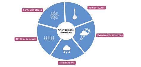 Schéma des impacts du changement climatique sur les maladies des plantes