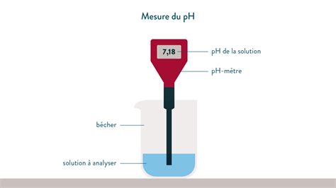Mesure du pH d'un tas de compost