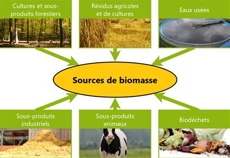 Diversité des sources de biomasse agricole