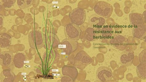 Diagramme illustrant la sélection de résistance aux herbicides chez les mauvaises herbes