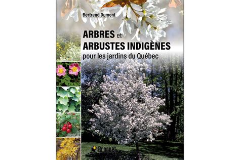 Arbres indigènes fournissant des baies et des fruits
