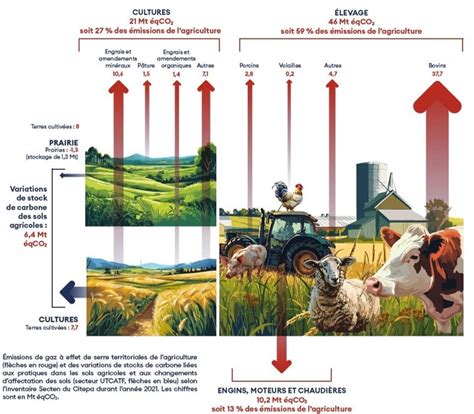 Illustration de l'impact environnemental des différentes litières