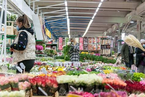 Détail d'un étal de fleurs coupées fraîches chez un grossiste de Rungis