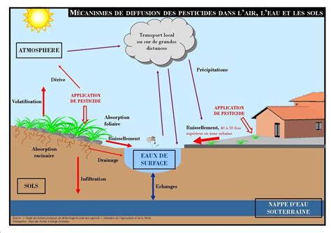 Schéma illustrant l'impact des pesticides sur l'environnement