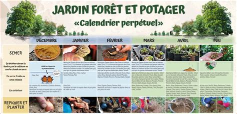 Schéma de calendrier de jardinage permaculture mois par mois