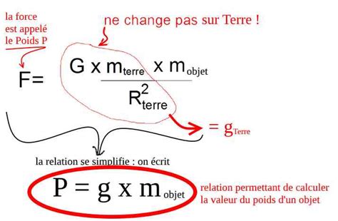 Schéma illustrant le rapport entre le poids vif de l'âne et la force de traction optimale