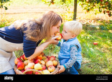 Famille cueillant des fruits dans une ferme