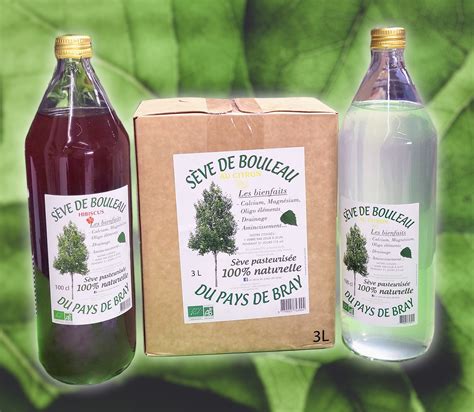 Assortiment de produits dérivés de la sève de bouleau : sève fraîche, sirop, etc.
