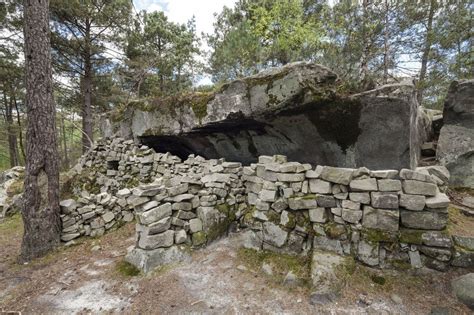 Forêt de Fontainebleau avec des blocs de grès