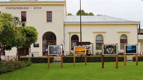 Gare de Fontainebleau Avon avec des cyclistes