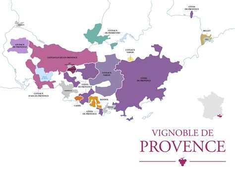 Vignoble de Provence