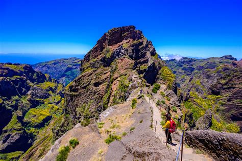 Vue panoramique des montagnes de Madère avec des hortensias au premier plan
