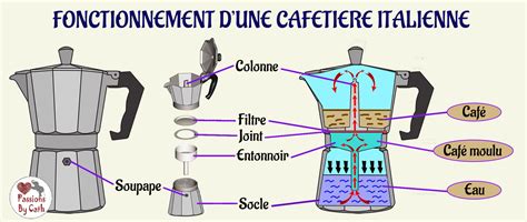 Schéma illustrant le passage de l'eau à travers une mouture de café dans un porte-filtre