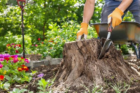 Illustration d'une personne retirant une souche d'arbre avec des outils de jardinage