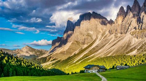Paysage de montagne avec des pieds de myrtilliers sauvages