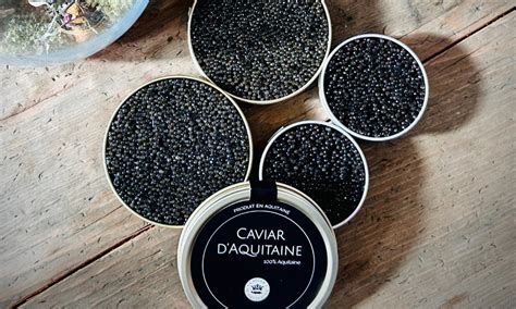 Infographie sur la production de caviar et les différentes espèces d'esturgeons