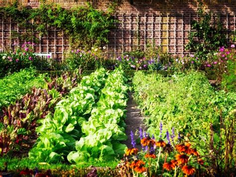 potager florissant