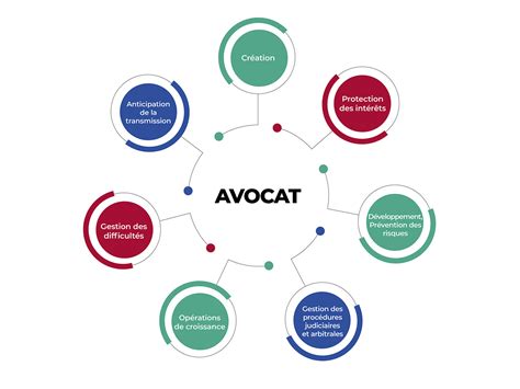 Infographie montrant la répartition des domaines de spécialisation des avocats au Barreau de Luxembourg