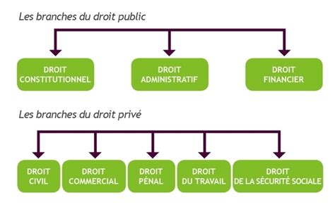 Représentation conceptuelle des différents domaines du droit luxembourgeois, illustrant l'interconnexion des disciplines