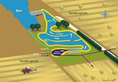 Schéma illustrant une parcelle maraîchère avec une zone tampon végétalisée en bordure de rivière