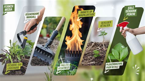 Infographie montrant la comparaison entre désherbage chimique, thermique et manuel