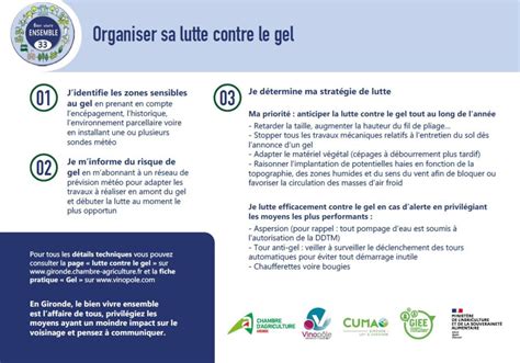 Infographie comparant les méthodes de lutte contre le gel printanier