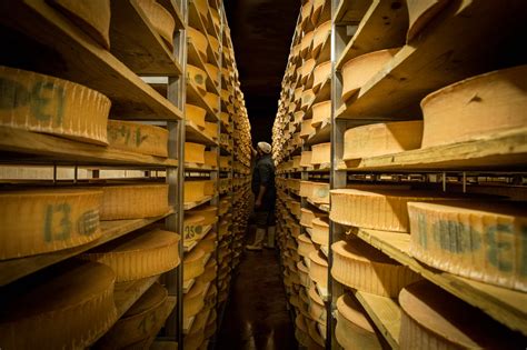 Schéma explicatif du processus d'affinage du fromage en cave