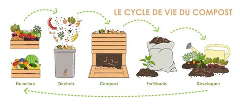 cycle de vie du compost domestique