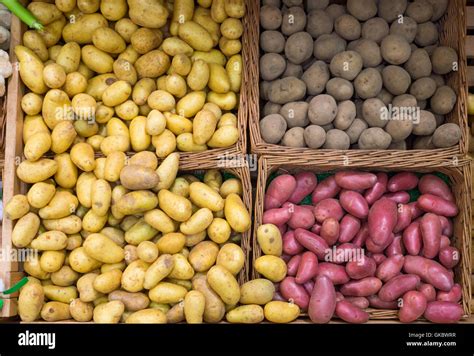 Assortiment de différentes variétés de pommes de terre sur un étal de marché