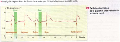 Graphique montrant les variations de la glycémie à jeun et post-prandiale