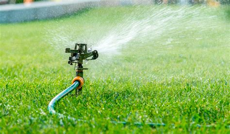 Arrosage automatique intégré dans un jardin