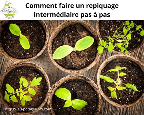 Infographie montrant la différence entre un repiquage