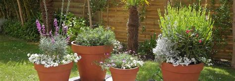 Un jardin luxuriant avec des plantes aromatiques en pots sur une terrasse ensoleillée