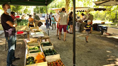marché de producteurs locaux en plein air
