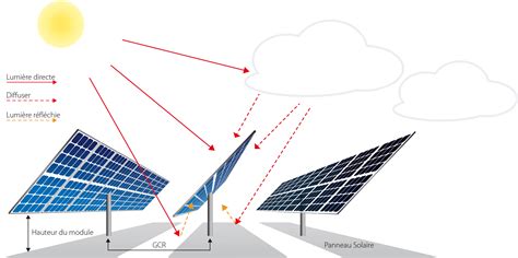 Schéma illustrant l'emplacement idéal d'une Maranta loin du rayonnement direct