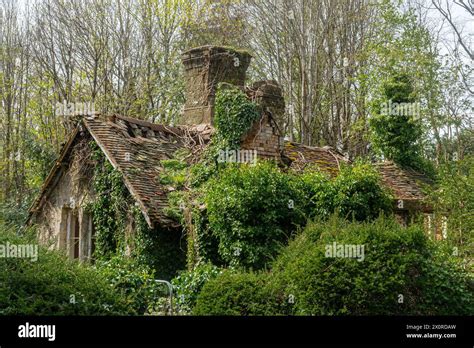 Chapelle en ruines envahie par la végétation
