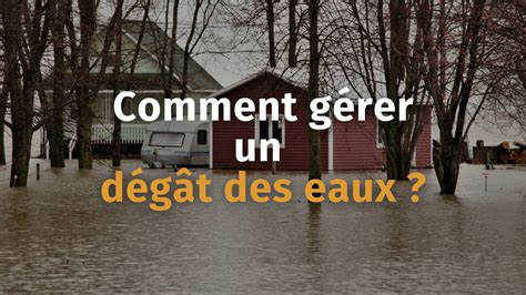 Infographie sur le rôle du syndic en cas de dégât des eaux